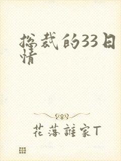 总裁的33日索情