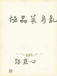 极品菜鸟乱江湖