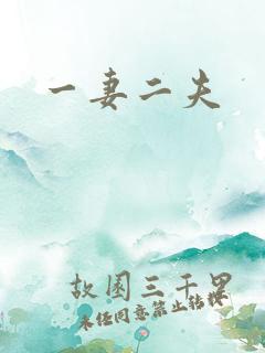 一妻二夫