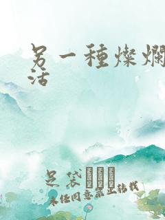 另一种灿烂的生活