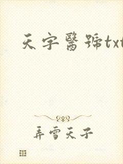 天字医号txt