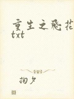 重生之飞花落照txt
