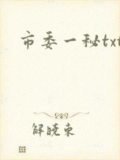 市委一秘txt