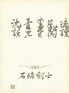 沈青鸾风璃宸小说免费阅读