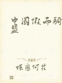 中国假面骑士联盟