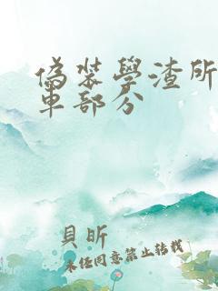 伪装学渣所有开车部分