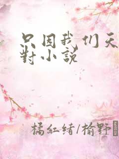只因我们天生一对小说