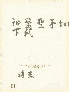 神医圣手txt下载