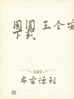 团圆 王全安 下载