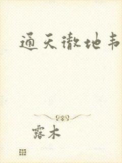 通天彻地韦小宝