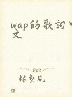 wap的歌词中文