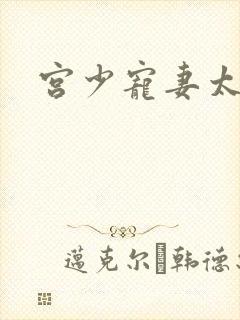 宫少宠妻太凶猛