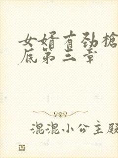 女婿有劲枪枪到底第三章