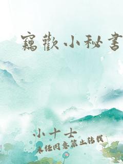 窃欢小秘书