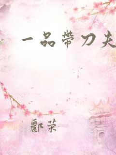 一品带刀夫人