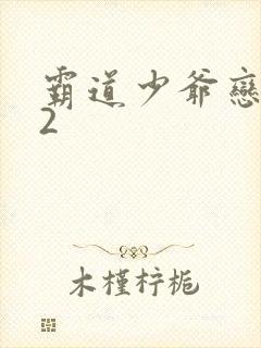 霸道少爷恋上我2