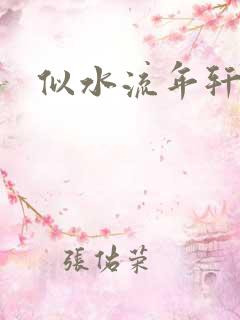 似水流年轩辕悬