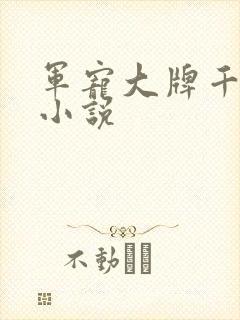 军宠大牌千金 小说