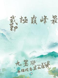 武极巅峰最新章节