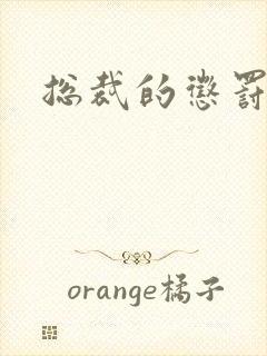 总裁的惩罚游戏