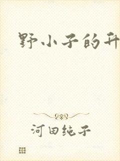 野小子的升官路