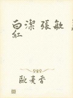 白洁 张敏 美红