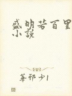 盛明若百里轻尘小说