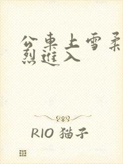 公车上雪柔被猛烈进入