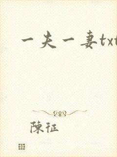 一夫一妻txt