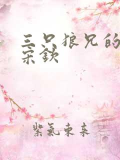 三只狼兄的宠妻宋钦