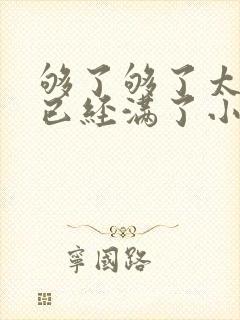 够了够了太多了已经满了小说