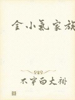 金小气家族小说