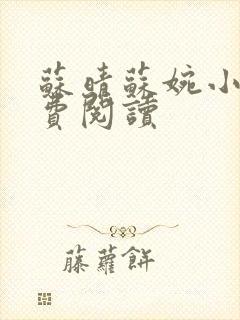 苏晴苏婉小说免费阅读