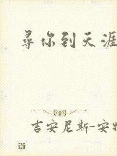 寻你到天涯