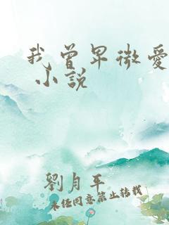 我曾卑微爱过你 小说