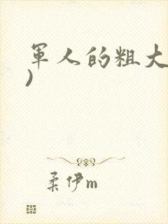 军人的粗大(h)