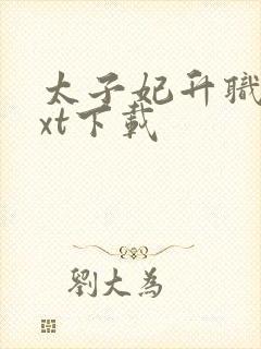 太子妃升职记txt下载