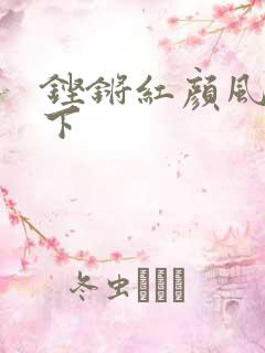 铿锵红颜风行天下