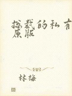 总裁的私有宝贝原版