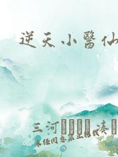 逆天小医仙陈平