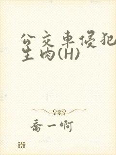 公交车侵犯小男生肉(H)