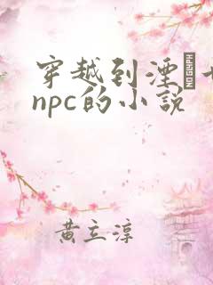 穿越到湮婸世界npc的小说