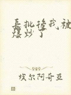 长批后我被宿敌爆炒了