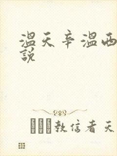 温天辛温西离小说
