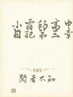 小霜的高中成长日记第三章