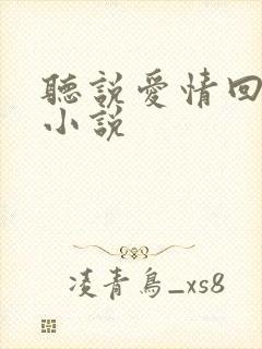 听说爱情回来过小说
