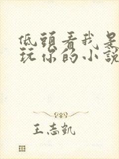 低头看我是怎么玩你的小说