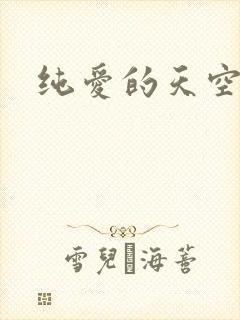 纯爱的天空