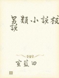 另类小说校园小说