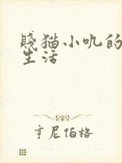 贱猫小叽的幸福生活
